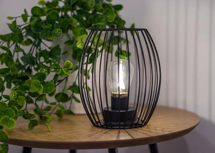 Golden's Nel Cuore Di Modena